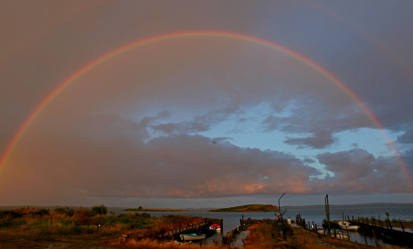 Regnbue over havnen